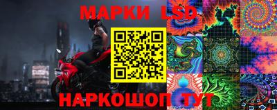 a pvp Можга