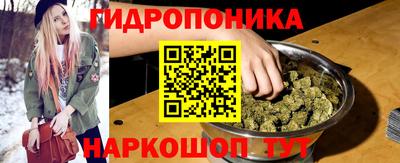 a pvp Можга