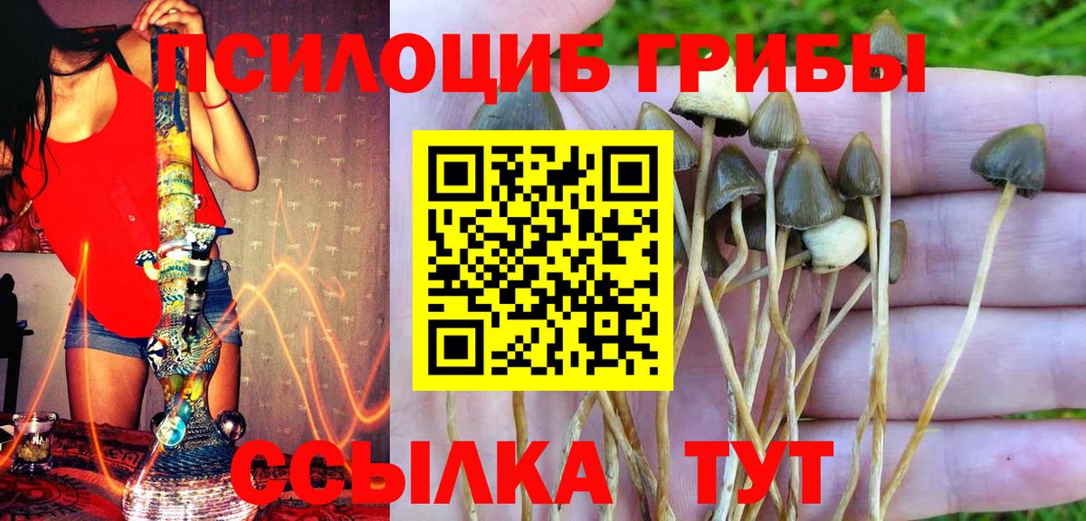 хочу наркоту  Псилоцибиновые грибы прущие грибы  Вход с VPN  Югорск 